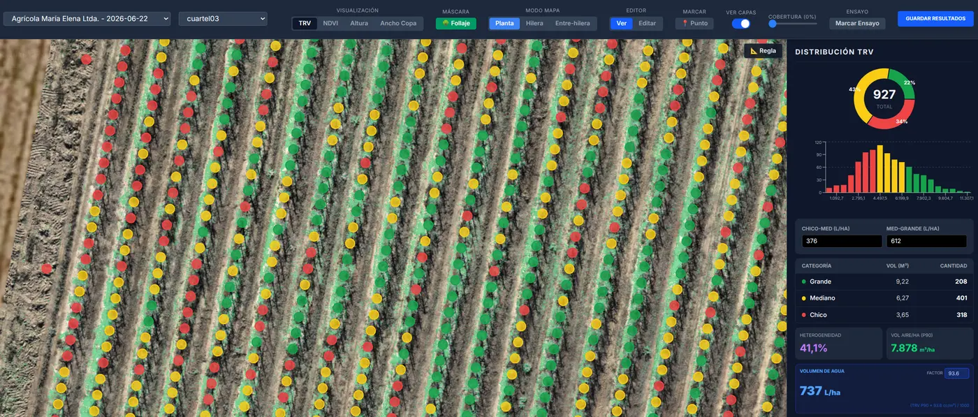 Mapa de vigor de un huerto de uva de mesa levantado con dron multiespectral, con cada planta segmentada individualmente